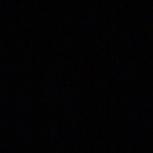 Meet your Posher, Jazzy